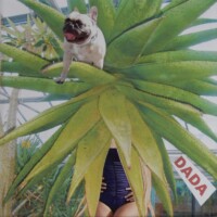 Im Botanischen Garten / 5