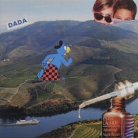 Schädlich für Fluss und Passagiere ?